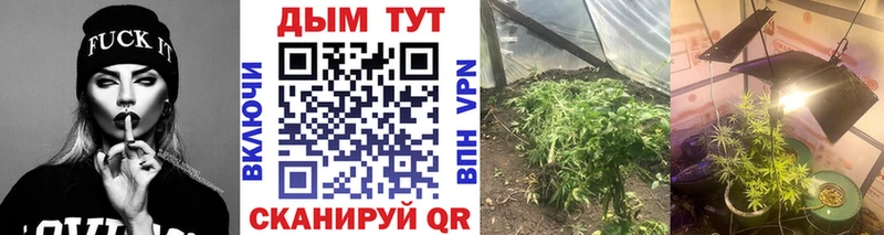 где купить наркоту  Кологрив  МАРИХУАНА SATIVA & INDICA 