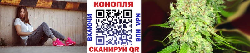 Бошки марихуана OG Kush Кологрив